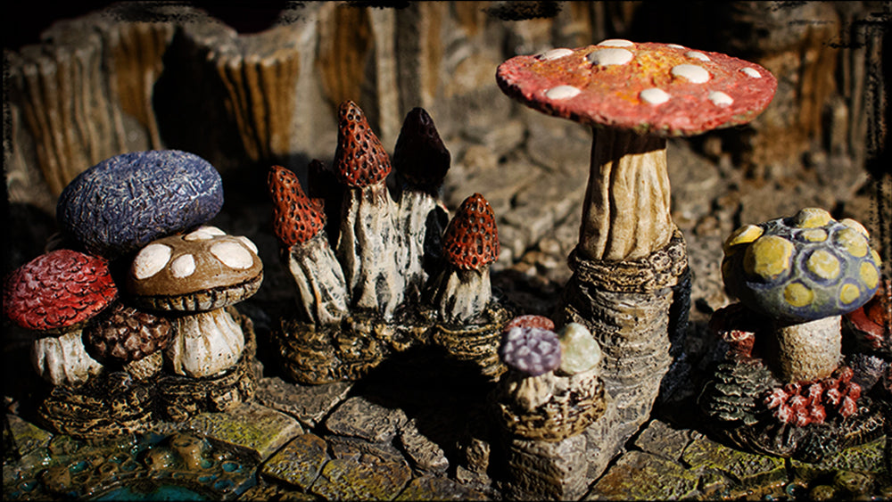 Varied free-standing fungi within a cavern setting