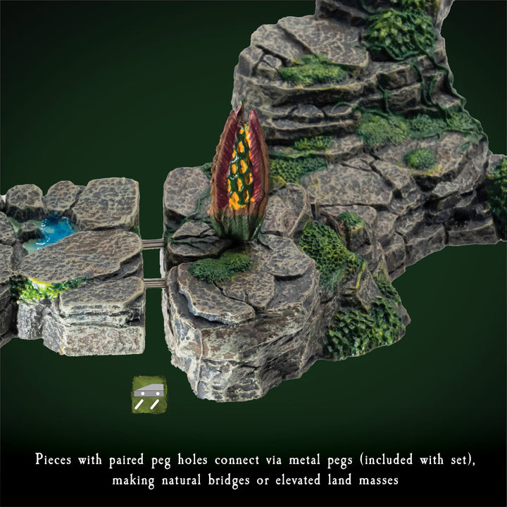 Explore the Forest (Painted)