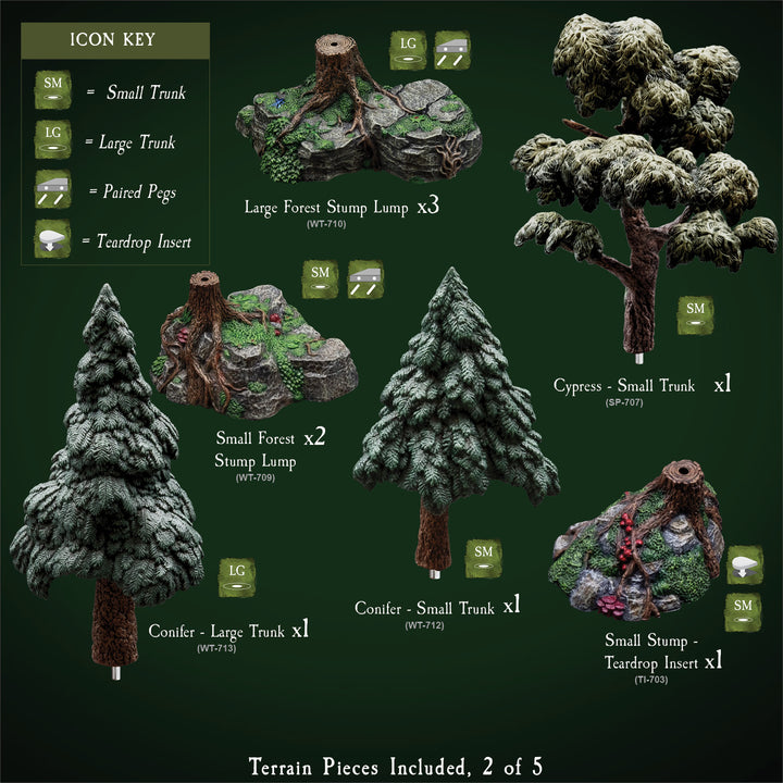 Explore the Forest (Painted)