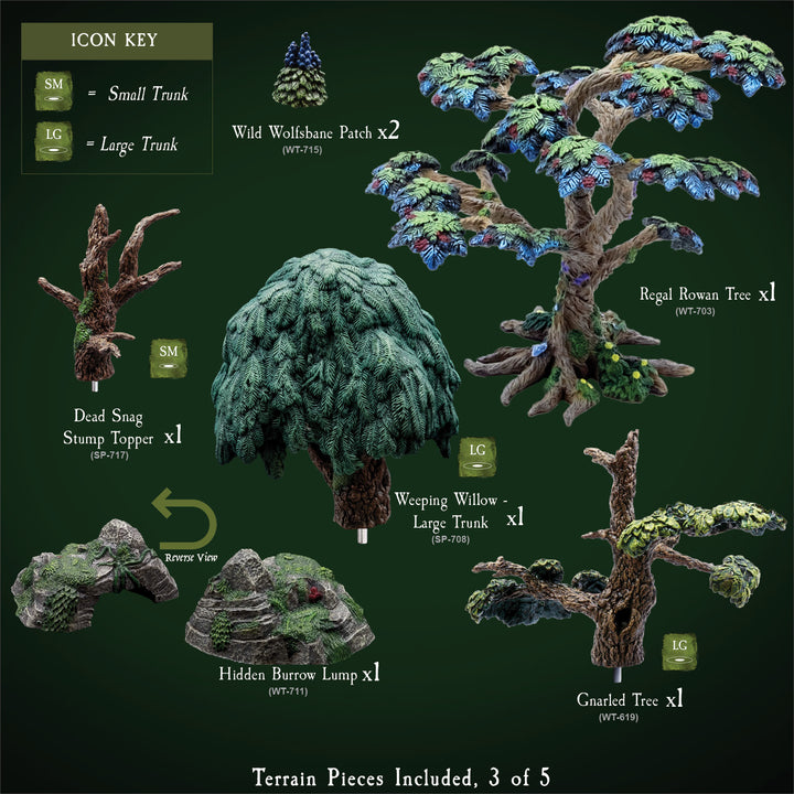 Explore the Forest (Painted)