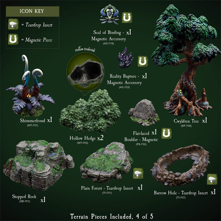 Explore the Forest (Painted)