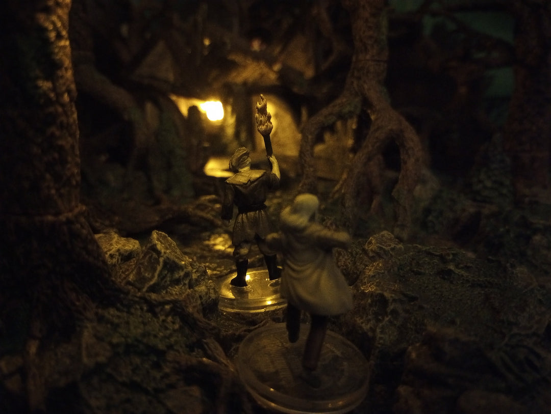 Best Display: The House in the Vanishing Woods by The Gourd Lord