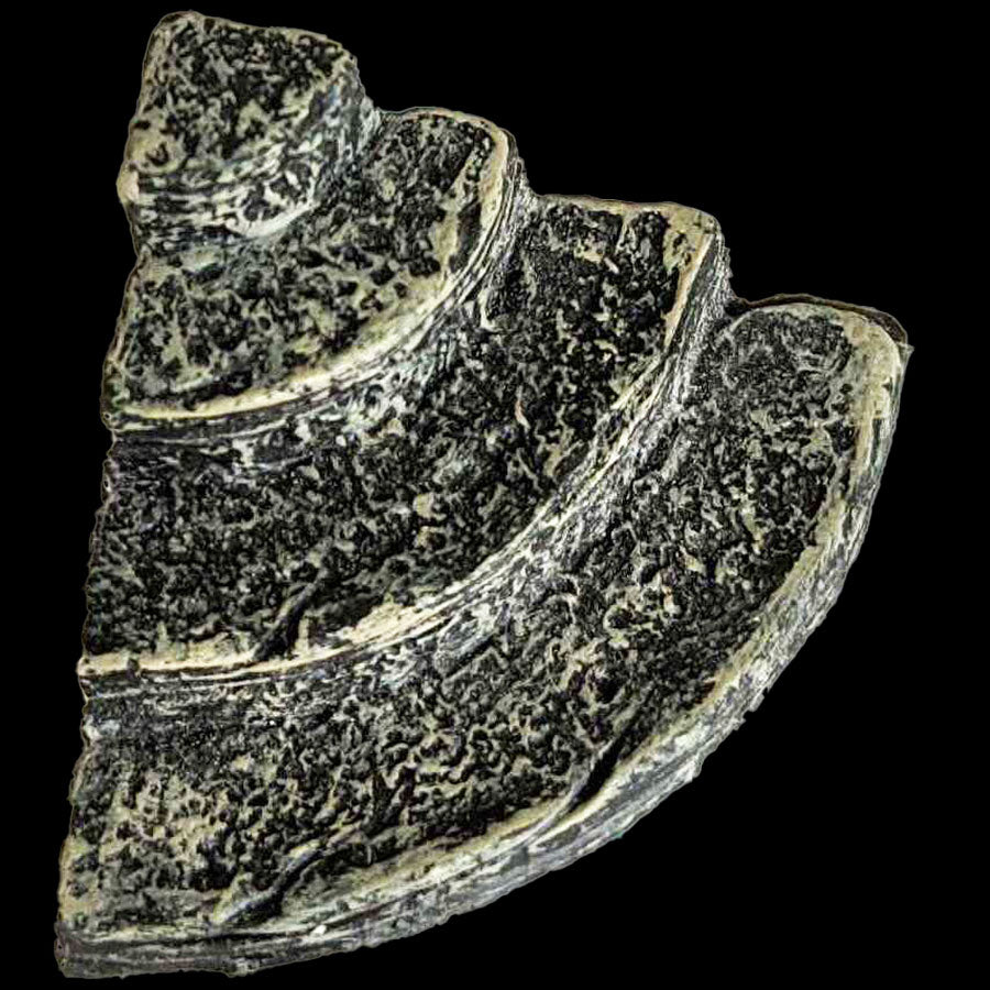 Curved Stairs - Painted